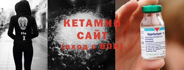 индика Надым