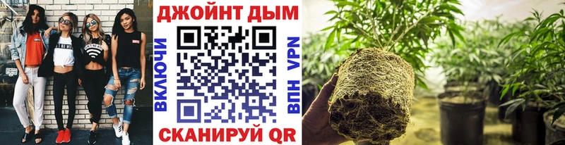 Канабис White Widow  Кувшиново 